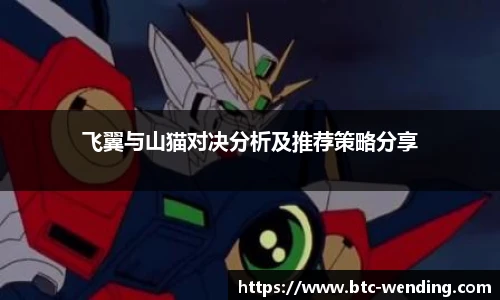 飞翼与山猫对决分析及推荐策略分享